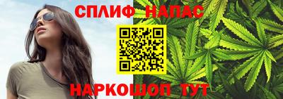 гидра Заволжье