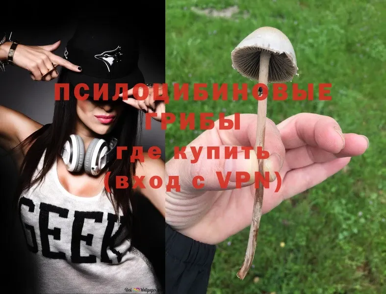 Галлюциногенные грибы MAGIC MUSHROOMS  Махачкала 