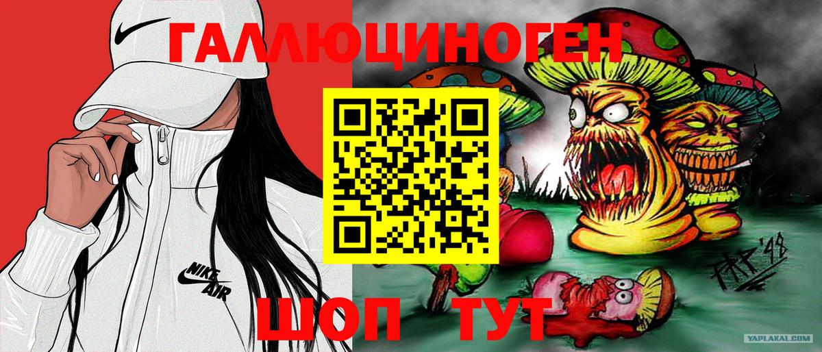 Махачкала  Галлюциногенные грибы MAGIC MUSHROOMS  Вход с VPN 