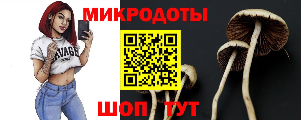 Псилоцибиновые грибы MAGIC MUSHROOMS Махачкала